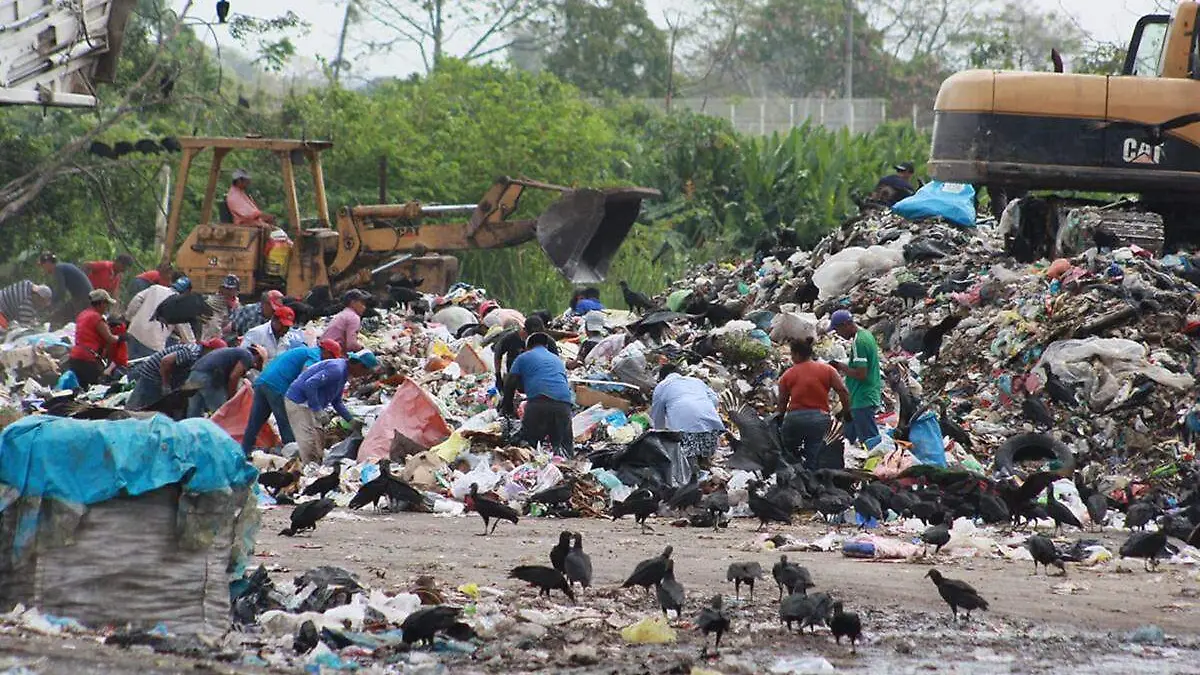 Basura8 copia